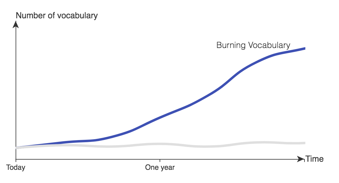 burning vocabulary curve